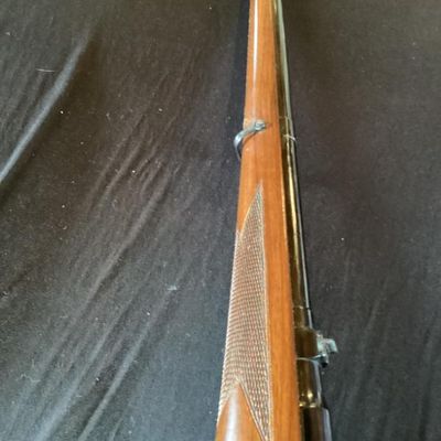Rifle No. 20- Stoeger Arms Mannicher Schoenauer MCA Bolt Action .243