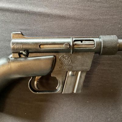 Rifle No. 3- AR 7 Explorer .22 LR
