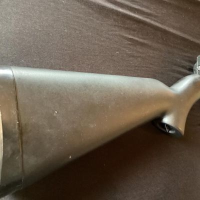Rifle No. 3- AR 7 Explorer .22 LR