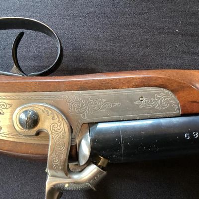 Rifle No. 10- Navy Arms Co. Black Powder 12 Gauge