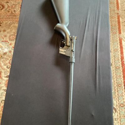Rifle No. 3- AR 7 Explorer .22 LR