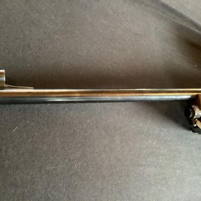 Rifle No. 19- Browning Arms Lever Action 243