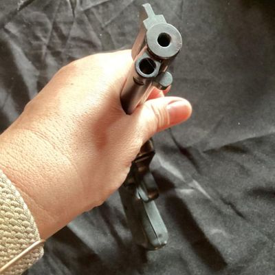 No. 13- Ruger New Model 6 Revolver .22 Win Mag