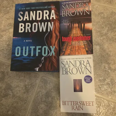 Assorted Fiction & Mystery Bestsellers Paperback Novel Lot - 20+ Books (Mary Higgins Clark, Danielle
