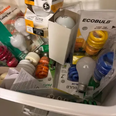 Large Assortment of Light Bulbs – CFL, Appliance & Specialty Bulbs