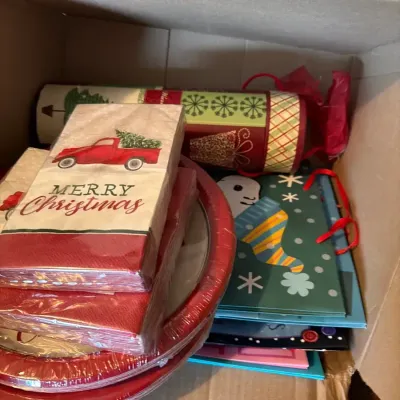 Holiday Entertaining Lot – Christmas Paper Plates, Napkins, Gift Bags & Party Supplies