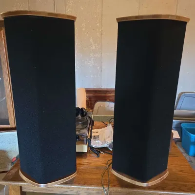 Vintage DCM QED Floor Standing Loudspeakers – Audiophile Time-Aligned Speakers – Made in USA