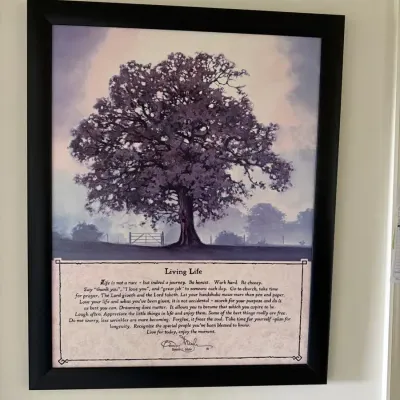 Bonnie Mohr “Living Life” Framed Inspirational Wall Art