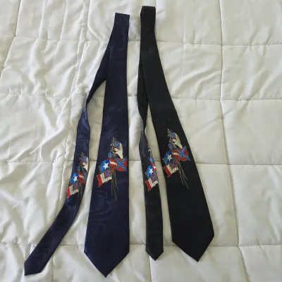  Lot of 2 Confederate-Themed Novelty Men's Neckties