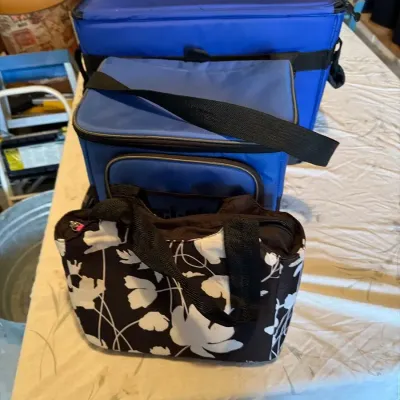 Insulated Cooler Bag Lot – Large Soft-Sided Cooler & Lunch Tote