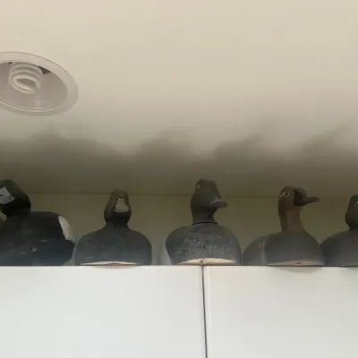 Handmade duck decoys