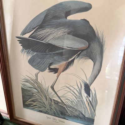 Pair of Wildlife Wall Art
