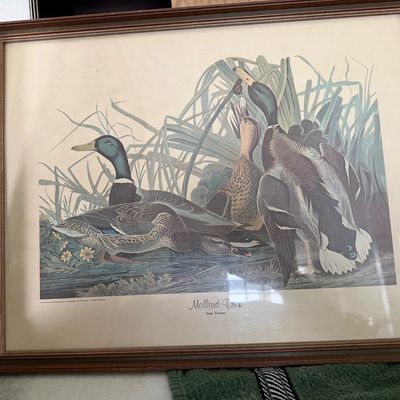 Pair of Wildlife Wall Art