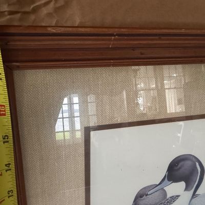 Framed Wall Art Ducks