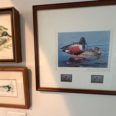 91/92 Maryland Duck Stamp Print / 3 pc framed art