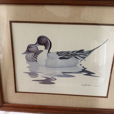 Framed Wall Art Ducks