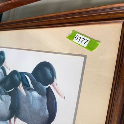 Framed Wildlife Art Print