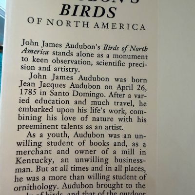 TWO Large Hardback Books - Birds Audubon