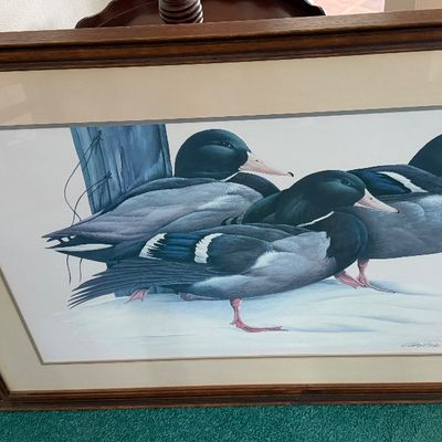 Framed Wildlife Art Print