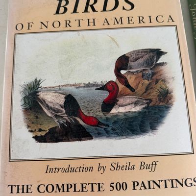 TWO Large Hardback Books - Birds Audubon