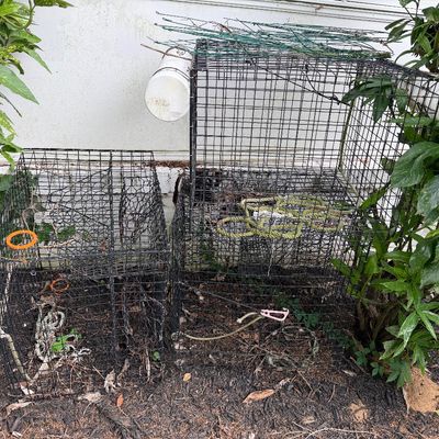 Crabbing Pots (2) & Floating Live Box