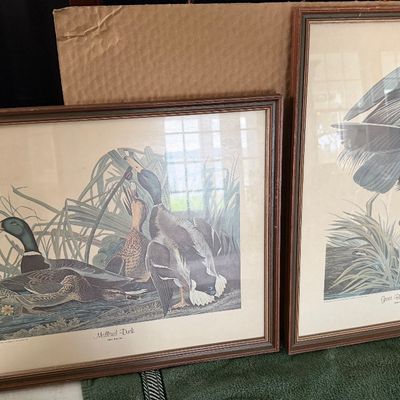 Pair of Wildlife Wall Art