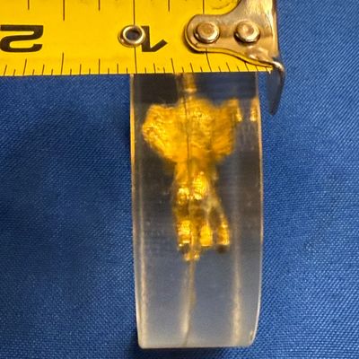 1968 Encased Republican Elephant