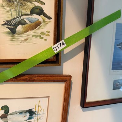 91/92 Maryland Duck Stamp Print / 3 pc framed art