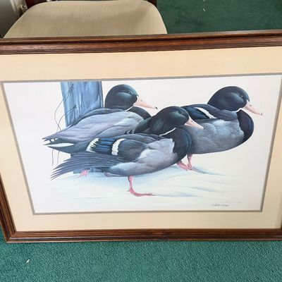 Framed Wildlife Art Print