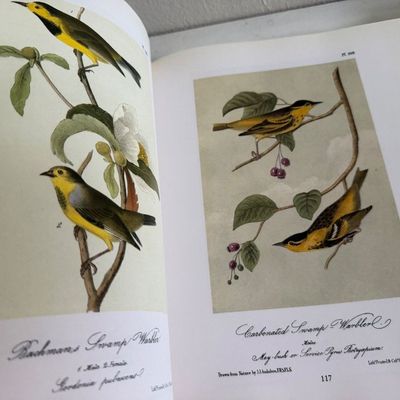 TWO Large Hardback Books - Birds Audubon