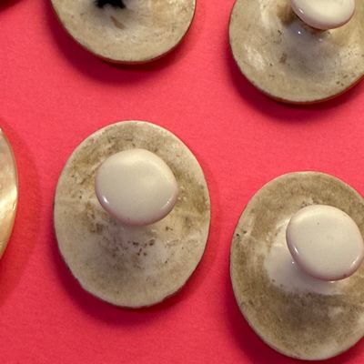 Antique Porcelain Mother of Pearl Buttons / Brooch Parts Lot