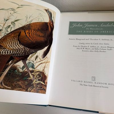 TWO Large Hardback Books - Birds Audubon