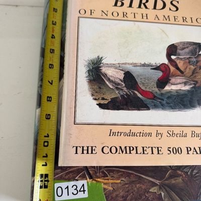TWO Large Hardback Books - Birds Audubon