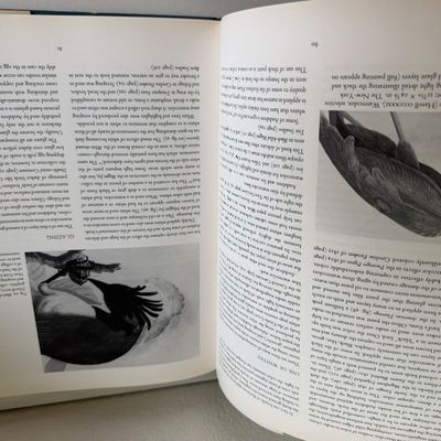 TWO Large Hardback Books - Birds Audubon