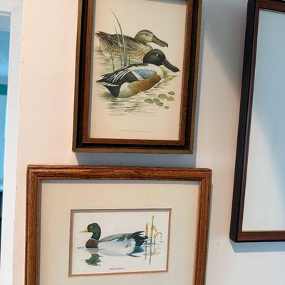 91/92 Maryland Duck Stamp Print / 3 pc framed art