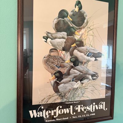 Framed 1998 Waterfowl Festival Poster “Mallard Mania”