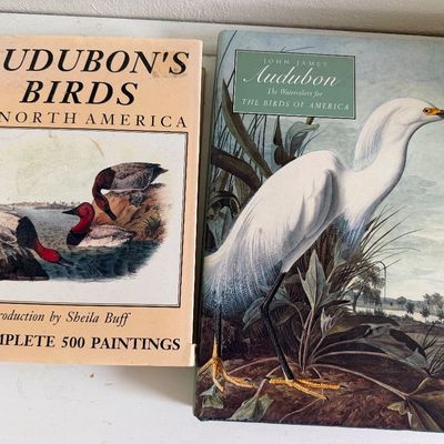 TWO Large Hardback Books - Birds Audubon