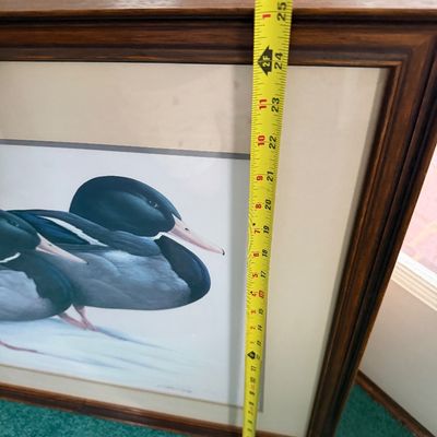 Framed Wildlife Art Print