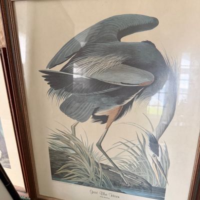 Pair of Wildlife Wall Art