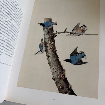 TWO Large Hardback Books - Birds Audubon