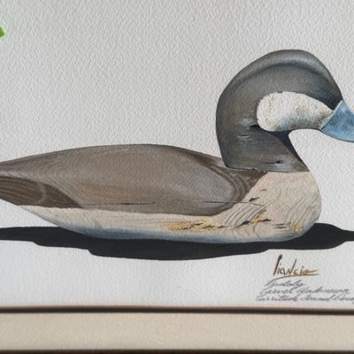 Signed Waterfowl Print Carmelo Ciancio Framed