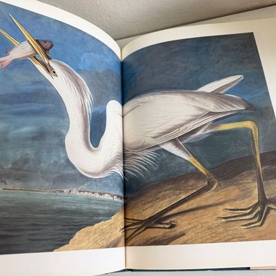 TWO Large Hardback Books - Birds Audubon