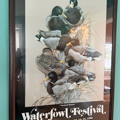 Framed 1998 Waterfowl Festival Poster “Mallard Mania”