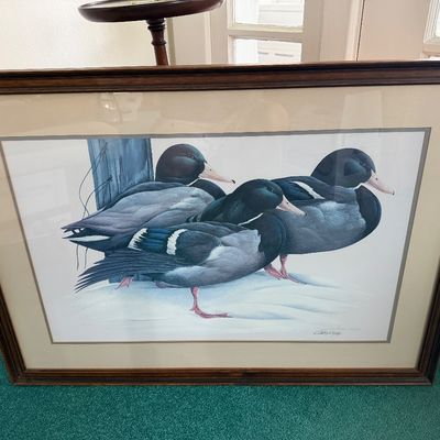 Framed Wildlife Art Print
