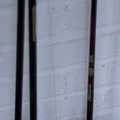 Fishing Rods / Reels Lot