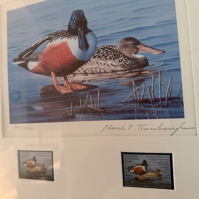 91/92 Maryland Duck Stamp Print / 3 pc framed art