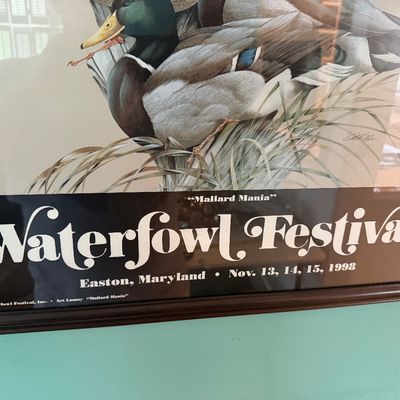 Framed 1998 Waterfowl Festival Poster “Mallard Mania”