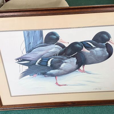 Framed Wildlife Art Print