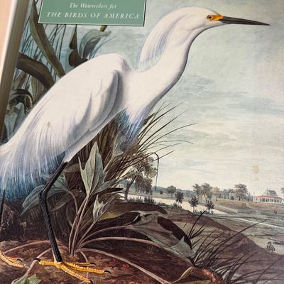 TWO Large Hardback Books - Birds Audubon