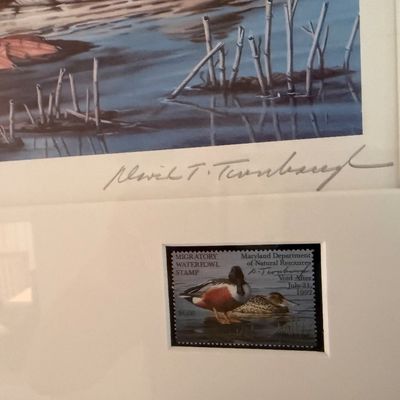 91/92 Maryland Duck Stamp Print / 3 pc framed art